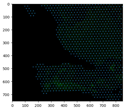 ../_images/notebooks_tutorial_spatial_57_0.png